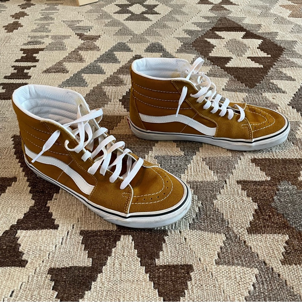 Vans Skate Hi top shoes